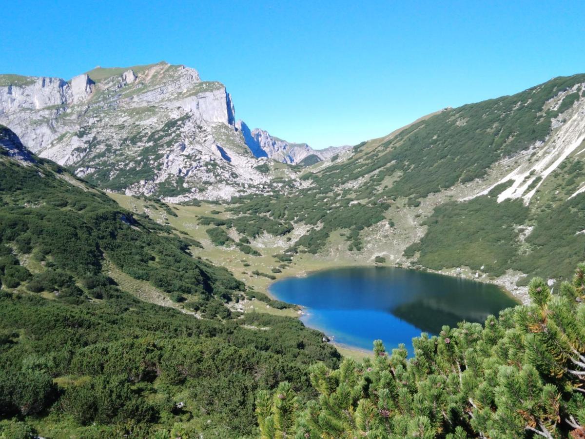 Bichlerhof Διαμέρισμα Radfeld Εξωτερικό φωτογραφία