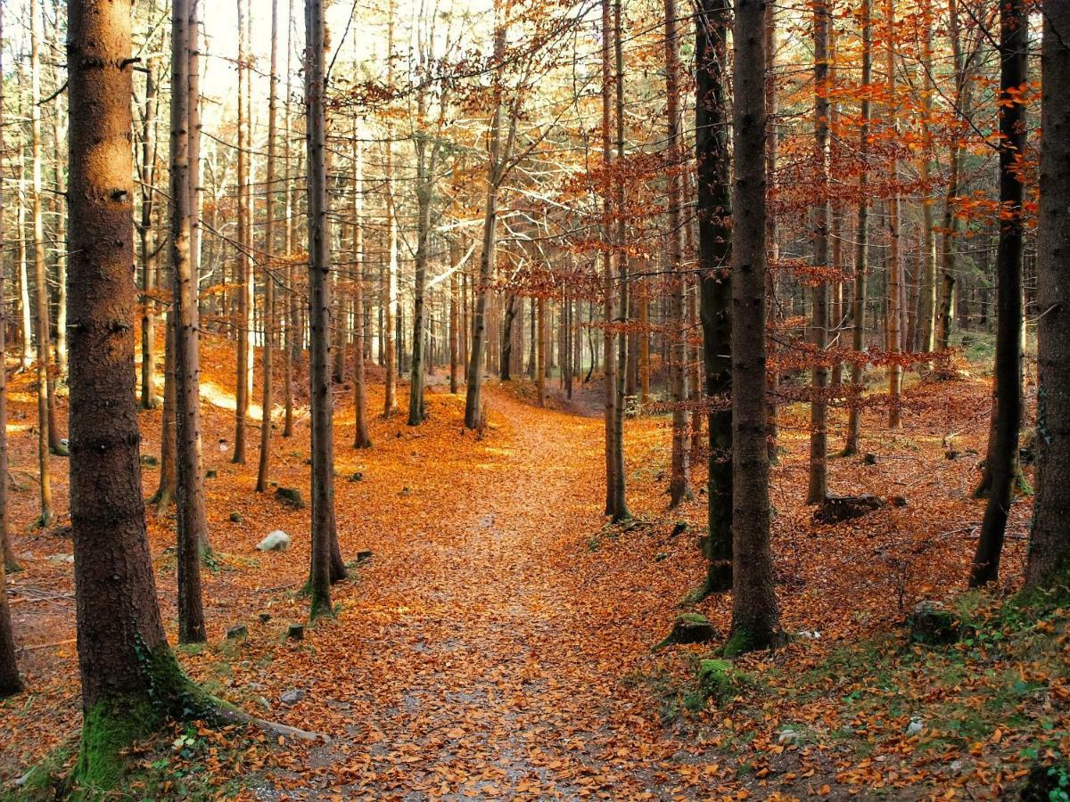 Bichlerhof Διαμέρισμα Radfeld Εξωτερικό φωτογραφία